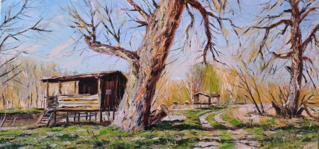 Jar pri Morave, olej, 40x80, 2025