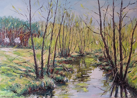 Jar pri potoku Lakšár, olej, 50x70, 2025